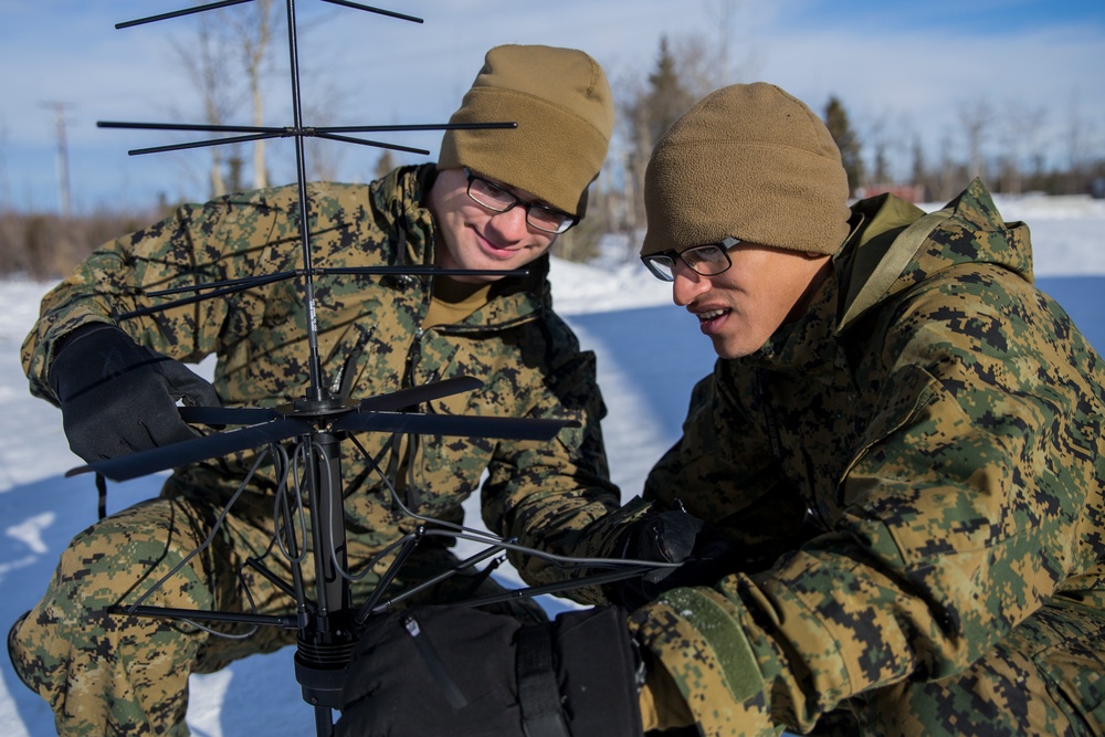 Task Force Arctic Edge