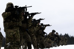 82nd BEB Weapons Training with Danish Army in Estonia