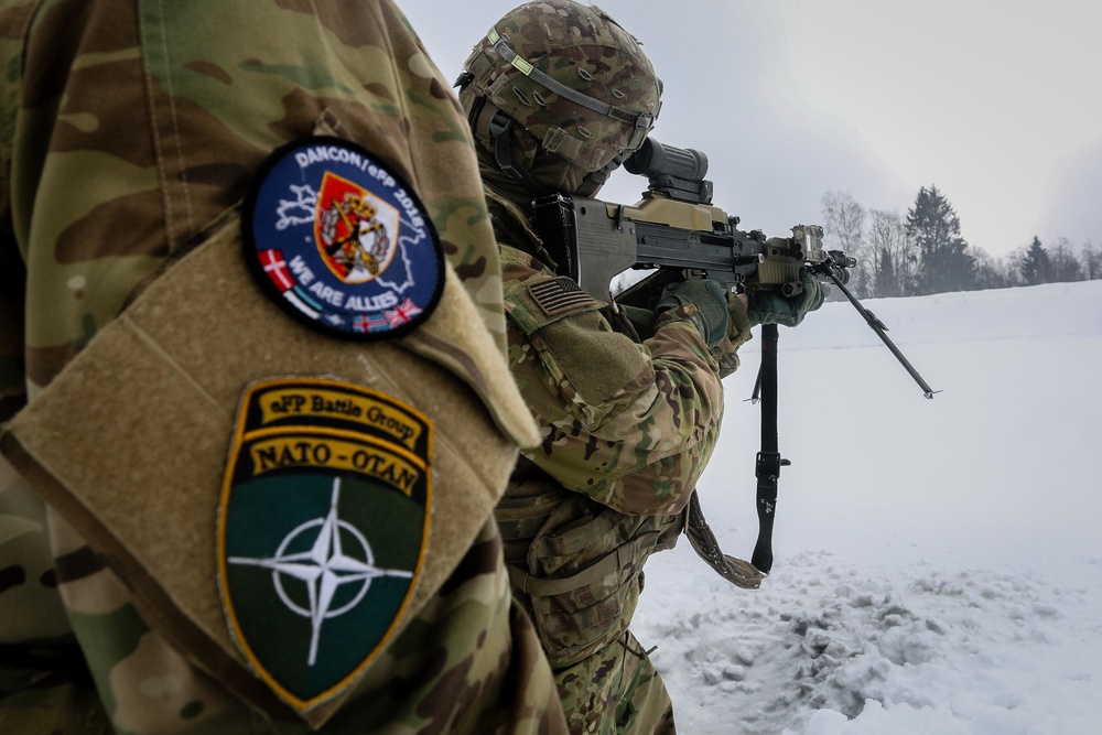 82nd BEB Weapons Training with Danish Army in Estonia 