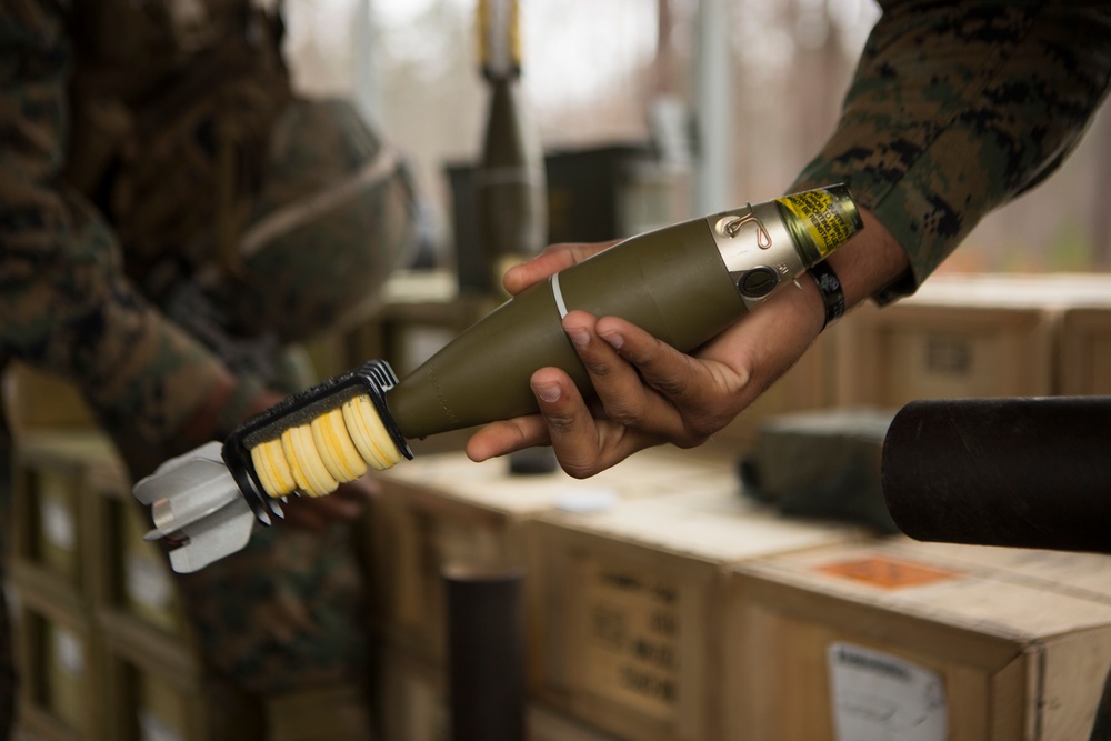 1/2 Deployment For Training