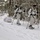 Cold-Weather Operations Course Class 18-06 students practice snowshoeing at Fort McCoy