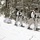 Cold-Weather Operations Course Class 18-06 students practice snowshoeing at Fort McCoy