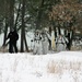 Cold-Weather Operations Course Class 18-06 students practice snowshoeing at Fort McCoy