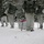 Cold-Weather Operations Course Class 18-06 students practice snowshoeing at Fort McCoy