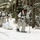 Cold-Weather Operations Course Class 18-06 students practice snowshoeing at Fort McCoy Cold-Weather Operations Course Class 18-06 students practice snowshoeing at Fort McCoy
