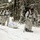 Cold-Weather Operations Course Class 18-06 students practice snowshoeing at Fort McCoy Cold-Weather Operations Course Class 18-06 students practice snowshoeing at Fort McCoy