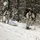 Cold-Weather Operations Course Class 18-06 students practice snowshoeing at Fort McCoy Cold-Weather Operations Course Class 18-06 students practice snowshoeing at Fort McCoy