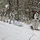 Cold-Weather Operations Course Class 18-06 students practice snowshoeing at Fort McCoy Cold-Weather Operations Course Class 18-06 students practice snowshoeing at Fort McCoy