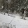 Cold-Weather Operations Course Class 18-06 students practice snowshoeing at Fort McCoy Cold-Weather Operations Course Class 18-06 students practice snowshoeing at Fort McCoy
