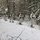 Cold-Weather Operations Course Class 18-06 students practice snowshoeing at Fort McCoy Cold-Weather Operations Course Class 18-06 students practice snowshoeing at Fort McCoy