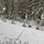 Cold-Weather Operations Course Class 18-06 students practice snowshoeing at Fort McCoy Cold-Weather Operations Course Class 18-06 students practice snowshoeing at Fort McCoy