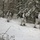 Cold-Weather Operations Course Class 18-06 students practice snowshoeing at Fort McCoy Cold-Weather Operations Course Class 18-06 students practice snowshoeing at Fort McCoy