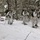 Cold-Weather Operations Course Class 18-06 students practice snowshoeing at Fort McCoy Cold-Weather Operations Course Class 18-06 students practice snowshoeing at Fort McCoy