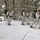 Cold-Weather Operations Course Class 18-06 students practice snowshoeing at Fort McCoy Cold-Weather Operations Course Class 18-06 students practice snowshoeing at Fort McCoy