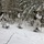 Cold-Weather Operations Course Class 18-06 students practice snowshoeing at Fort McCoy Cold-Weather Operations Course Class 18-06 students practice snowshoeing at Fort McCoy