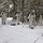 Cold-Weather Operations Course Class 18-06 students practice snowshoeing at Fort McCoy Cold-Weather Operations Course Class 18-06 students practice snowshoeing at Fort McCoy