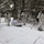 Cold-Weather Operations Course Class 18-06 students practice snowshoeing at Fort McCoy Cold-Weather Operations Course Class 18-06 students practice snowshoeing at Fort McCoy