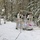 Cold-Weather Operations Course Class 18-06 students practice snowshoeing at Fort McCoy Cold-Weather Operations Course Class 18-06 students practice snowshoeing at Fort McCoy