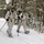 Cold-Weather Operations Course Class 18-06 students practice snowshoeing at Fort McCoy Cold-Weather Operations Course Class 18-06 students practice snowshoeing at Fort McCoy