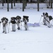 Cold-Weather Operations Course Class 18-06 students practice snowshoeing at Fort McCoy