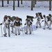 Cold-Weather Operations Course Class 18-06 students practice snowshoeing at Fort McCoy