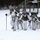 Cold-Weather Operations Course Class 18-06 students practice snowshoeing at Fort McCoy Cold-Weather Operations Course Class 18-06 students practice snowshoeing at Fort McCoy
