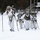 Cold-Weather Operations Course Class 18-06 students practice snowshoeing at Fort McCoy Cold-Weather Operations Course Class 18-06 students practice snowshoeing at Fort McCoy