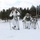 Cold-Weather Operations Course Class 18-06 students practice snowshoeing at Fort McCoy Cold-Weather Operations Course Class 18-06 students practice snowshoeing at Fort McCoy
