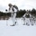 Cold-Weather Operations Course Class 18-06 students practice snowshoeing at Fort McCoy Cold-Weather Operations Course Class 18-06 students practice snowshoeing at Fort McCoy