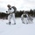 Cold-Weather Operations Course Class 18-06 students practice snowshoeing at Fort McCoy Cold-Weather Operations Course Class 18-06 students practice snowshoeing at Fort McCoy