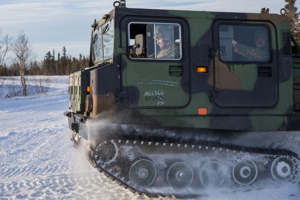 Task Force Arctic Edge