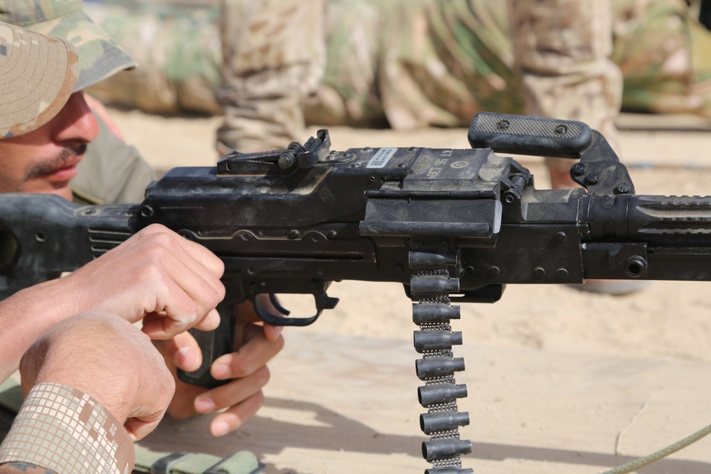 PKM Immediate Action