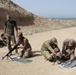 PKM Immediate Action