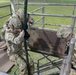 British Royal Marine commandos fast rope with SPMAGTF-CR-AF Marines