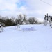 Cold-Weather Operations Course students train in snowshoeing, ahkio sled use at Fort McCoy