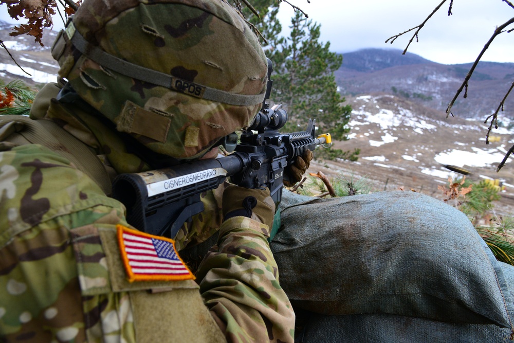 Exercise Lipizzaner IV