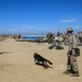 26TH MEU Marines and IDF build camaraderie by working together