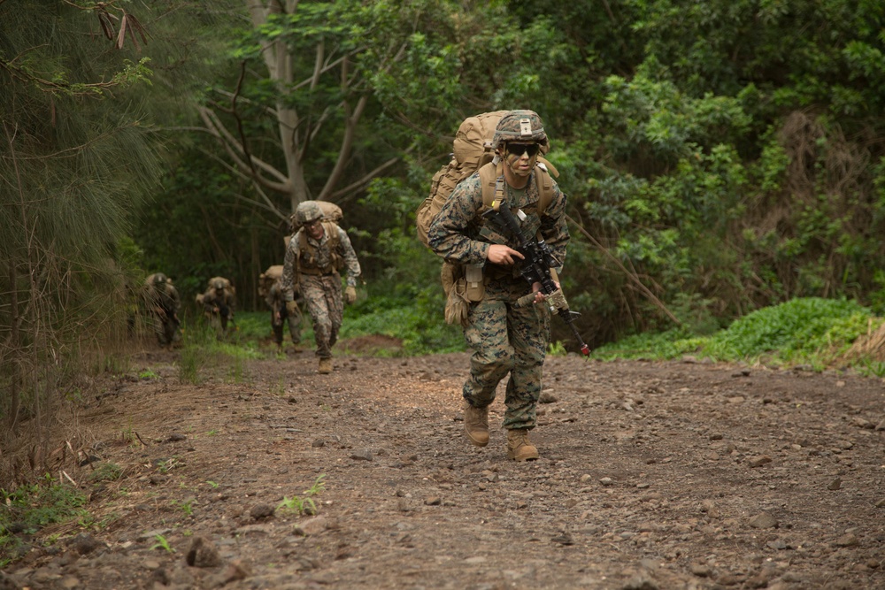 Patrolling Exercise conducted by 1/3 Marines for Exercise Bougainville I