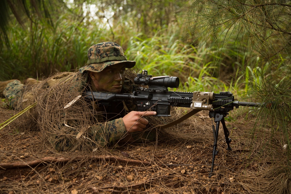 Patrolling Exercise conducted by 1/3 Marines for Exercise Bougainville I