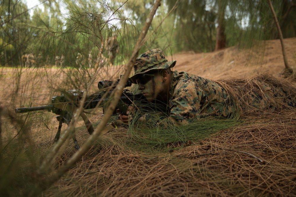 Patrolling Exercise conducted by 1/3 Marines for Exercise Bougainville I