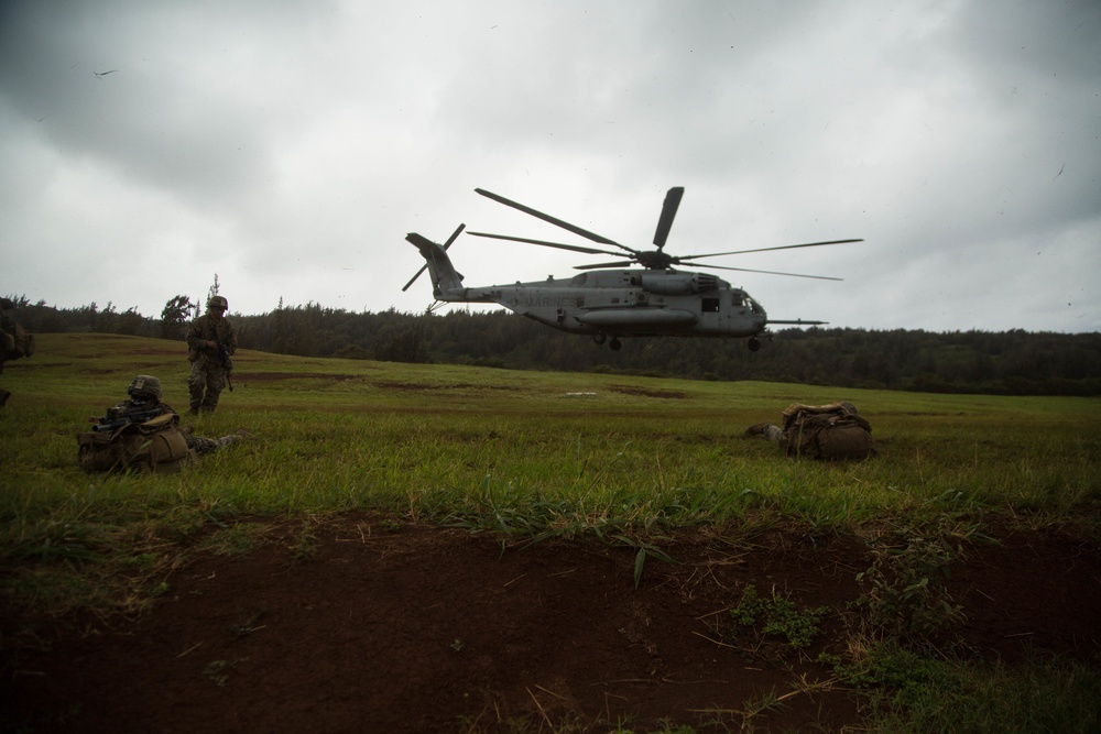 Patrolling Exercise conducted by 1/3 Marines for Exercise Bougainville I