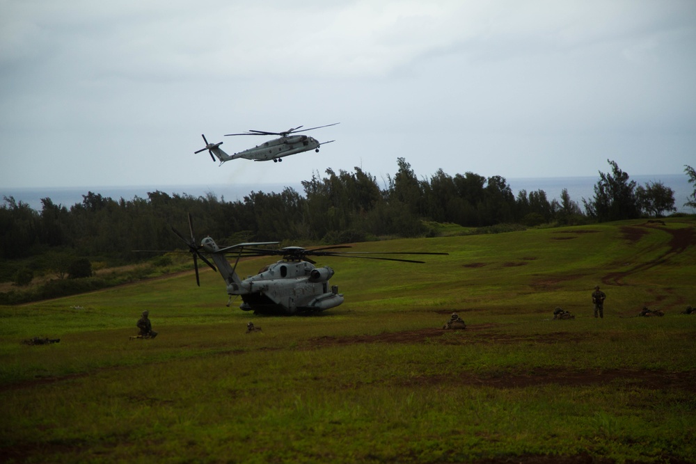 Patrolling Exercise conducted by 1/3 Marines for Exercise Bougainville I