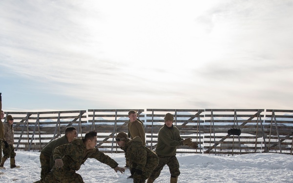 TFAE Marines tackle cold weather, tackle each other