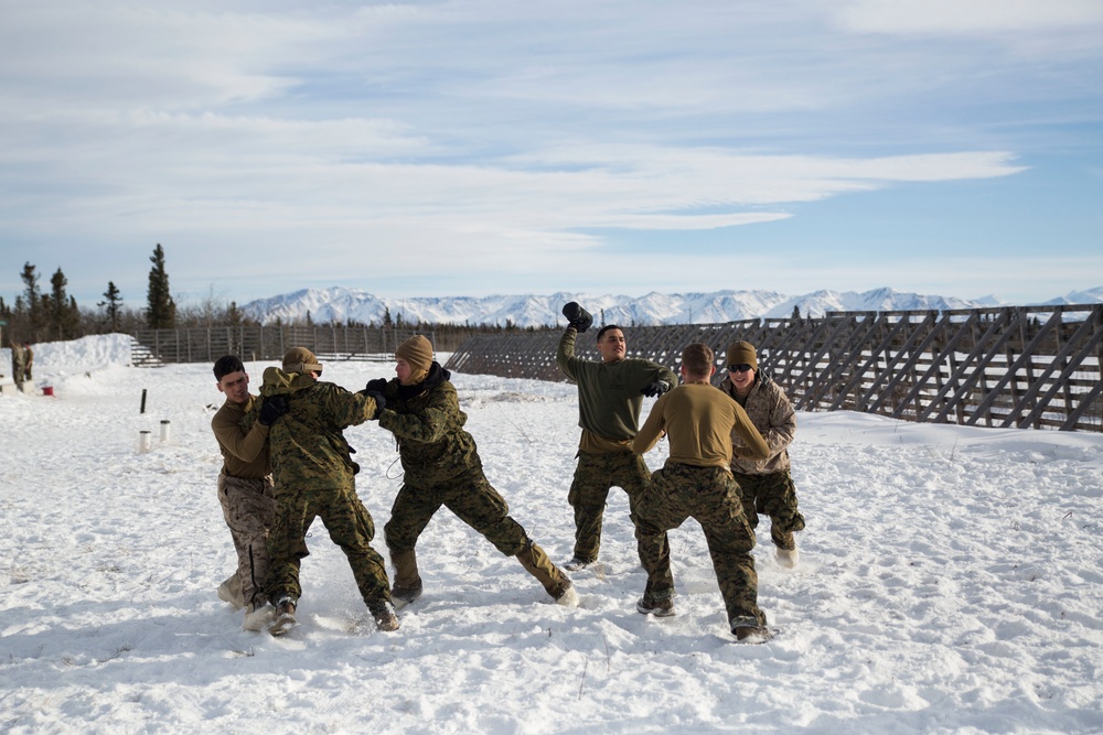 TFAE Marines tackle cold weather, tackle each other