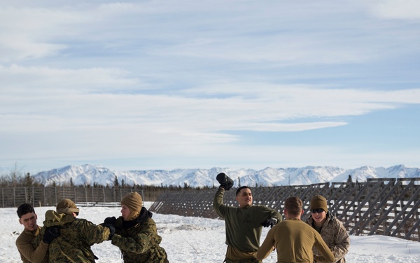 TFAE Marines tackle cold weather, tackle each other