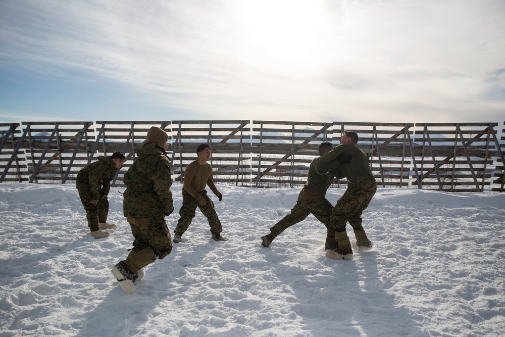 TFAE Marines tackle cold weather, tackle each other