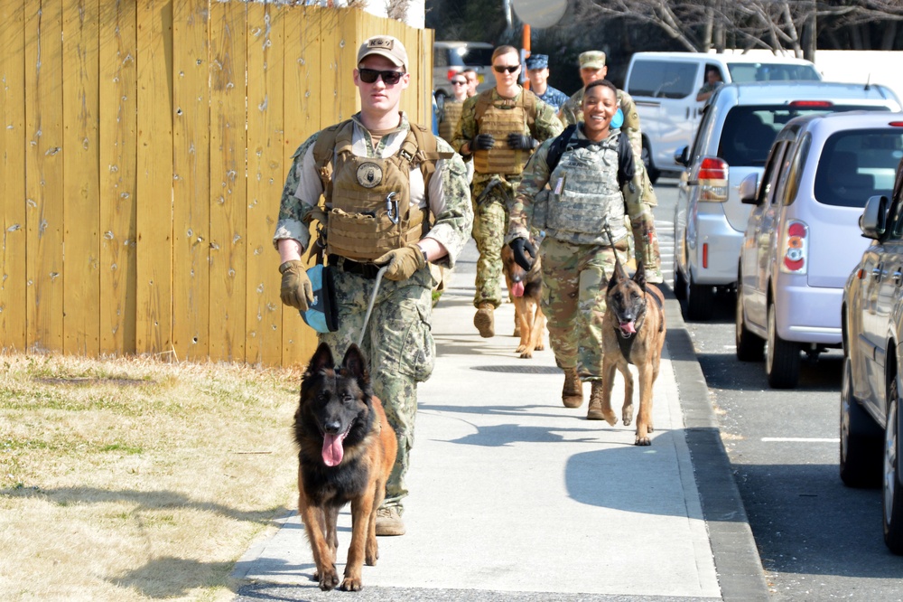 K9 Veterans Day