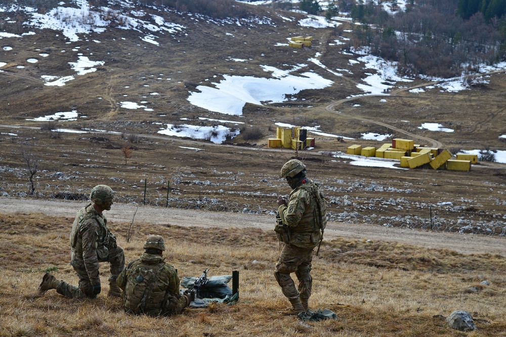 Exercise Lipizzaner IV