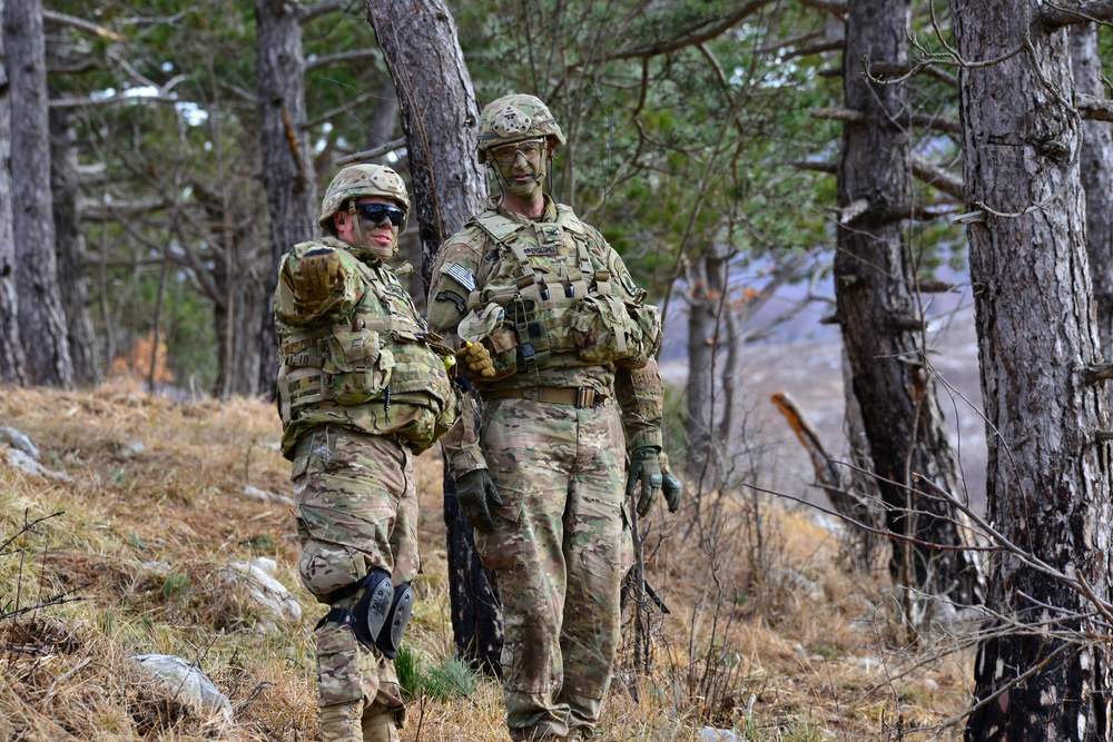 Exercise Lipizzaner IV