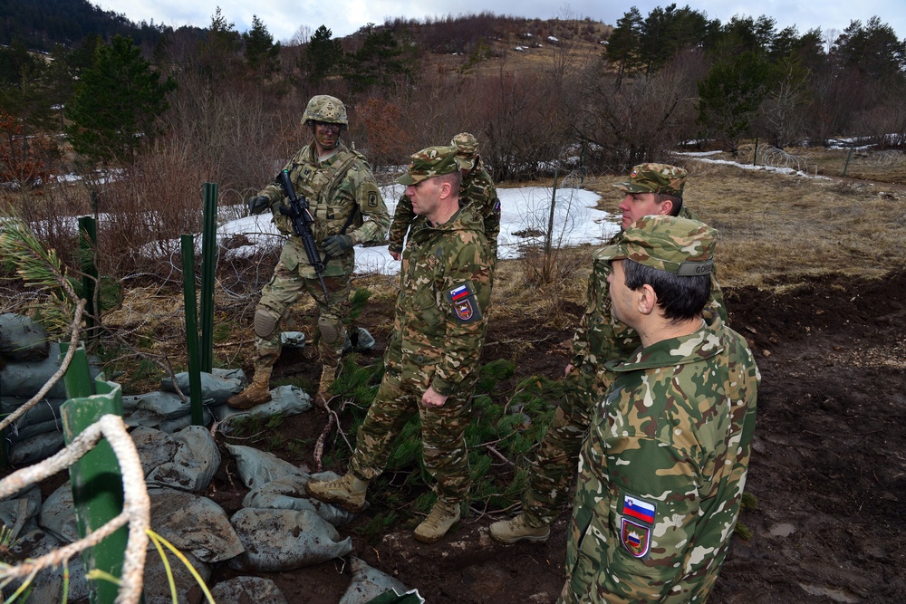 Exercise Lipizzaner IV